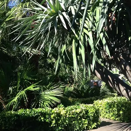 In Con Piscina Privata A 100 Mt Dlla Plaja * Castellammare del Golfo